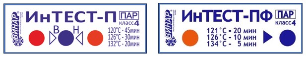 интесты.jpg